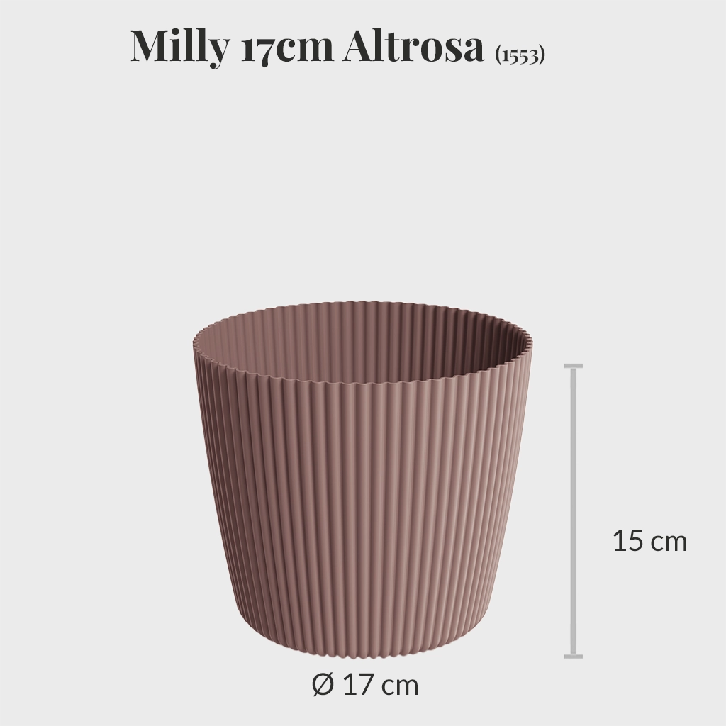 Milly 17cm