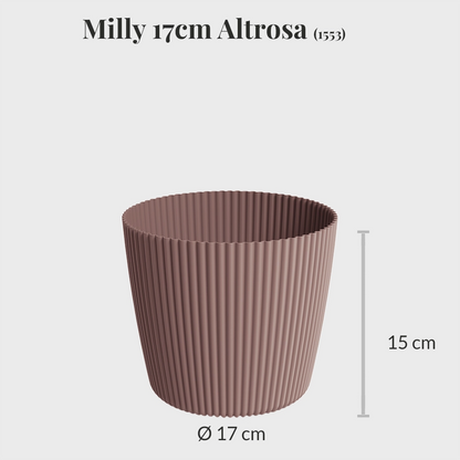 Milly 17cm