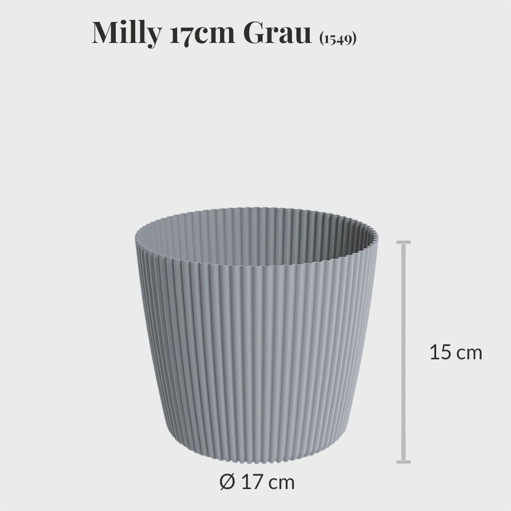 Milly 17cm