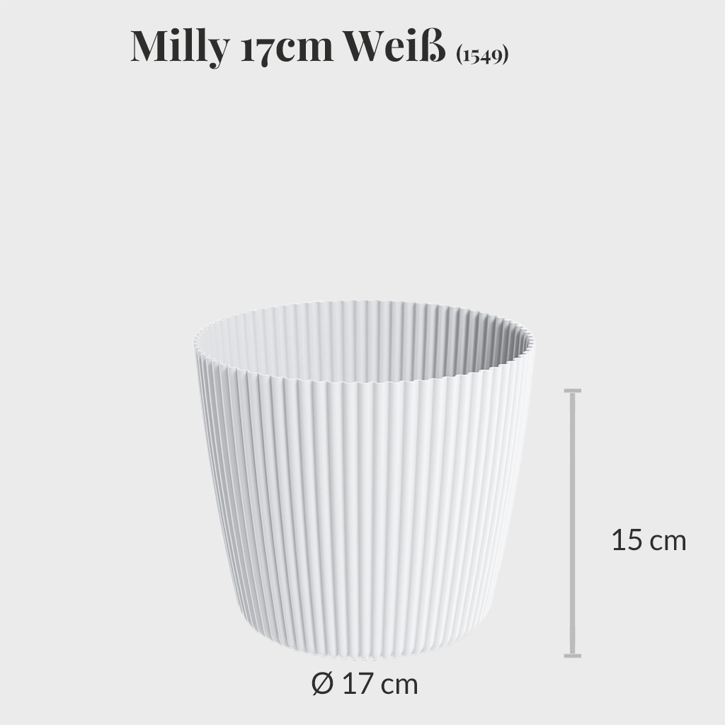 Milly 17cm