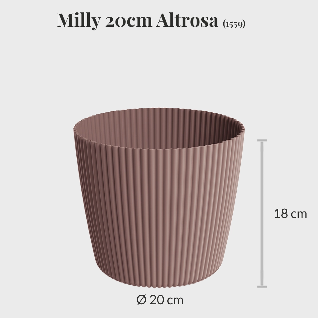 Milly 20cm