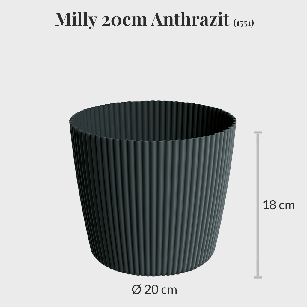 Milly 20cm