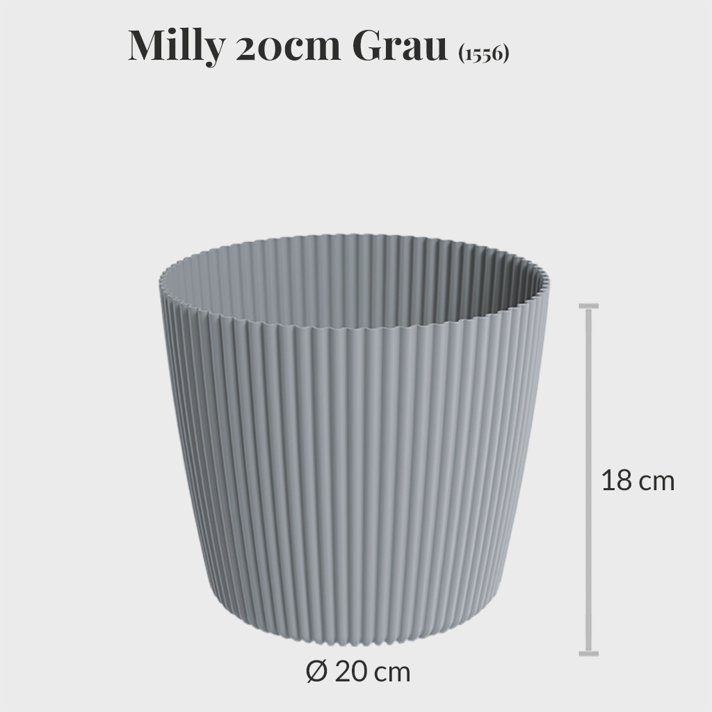 Milly 20cm