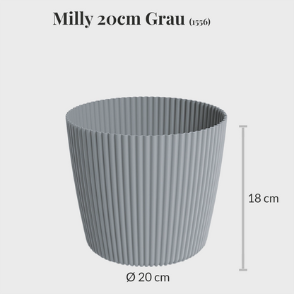 Milly 20cm