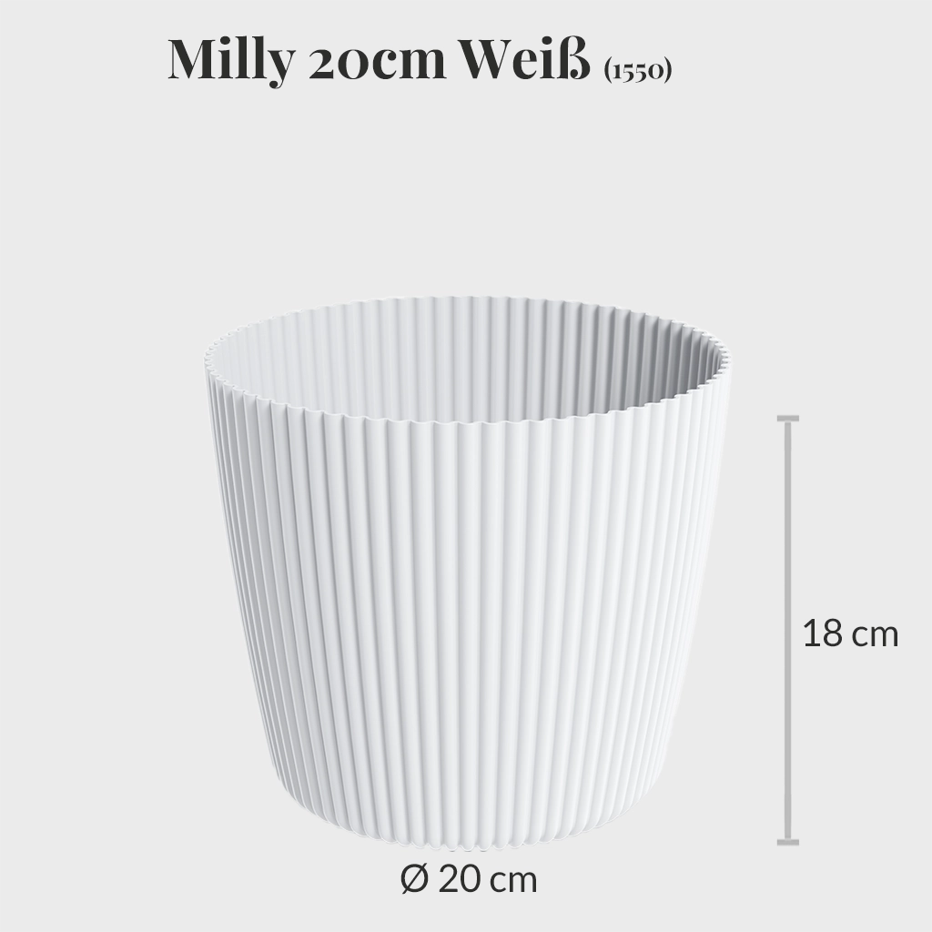 Milly 20cm