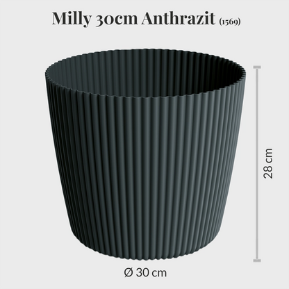 10er Übertopfset 4XXL 6L Milly