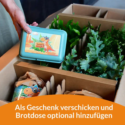 DinoSnack® Timo´s Palmfarn