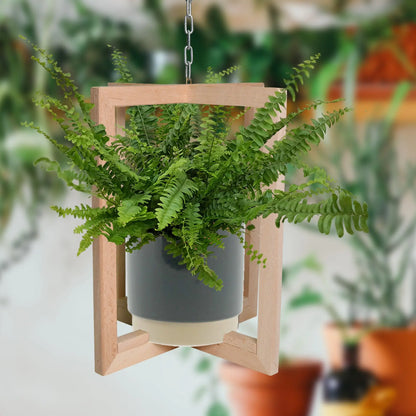 6er Box Tierfreunde für wenig Licht