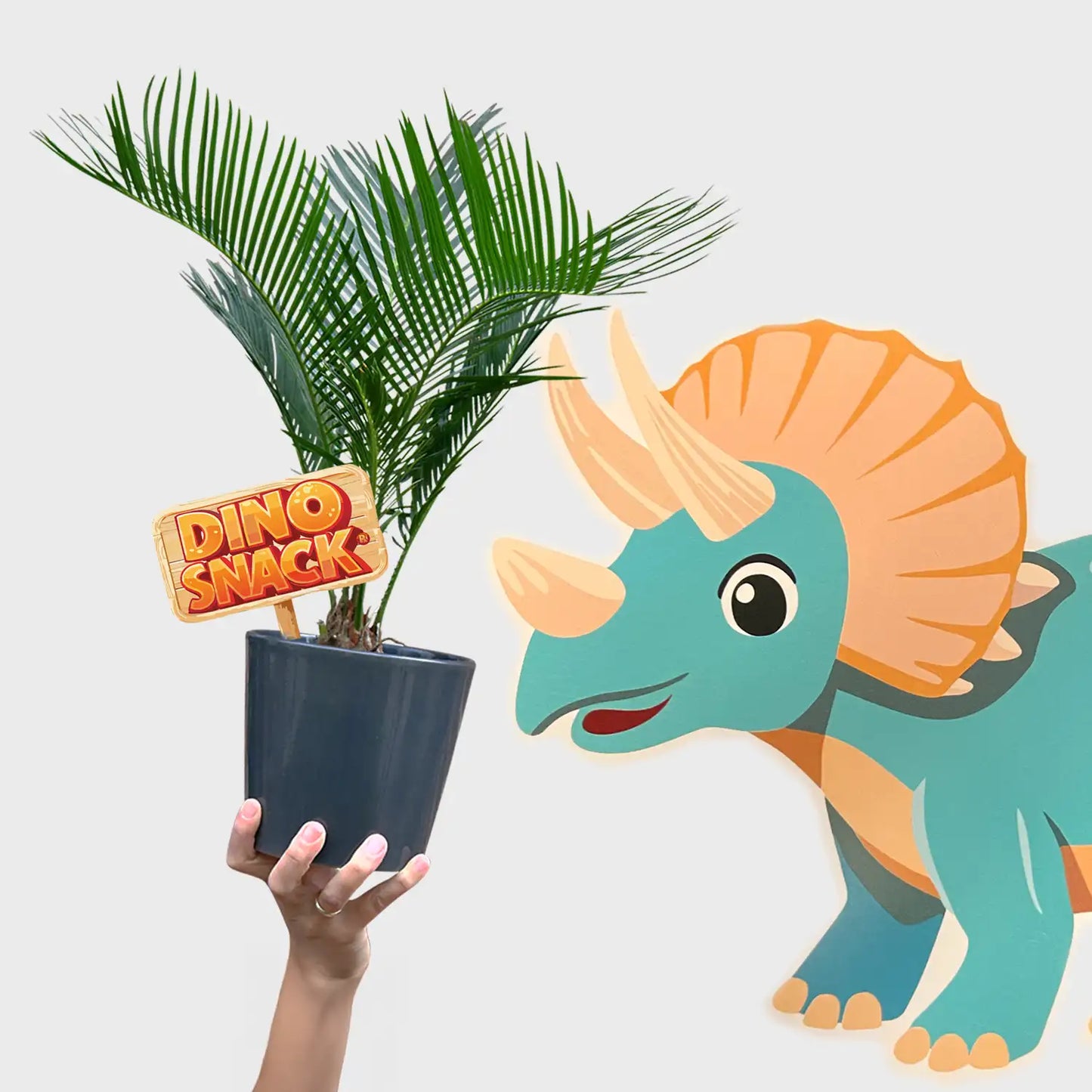DinoSnack® Timo´s Palmfarn