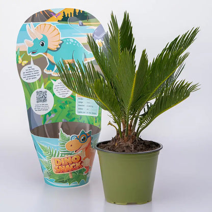 DinoSnack® Timo´s Palmfarn