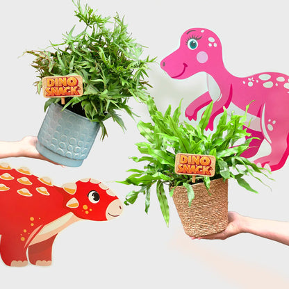 DinoSnack® 2 Pflanzen Starterset