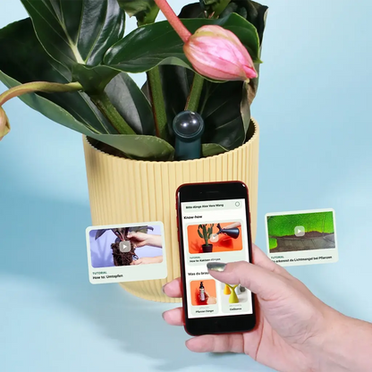 Smarter Feuchtigskietsmesser für Zimmerpflanzen mit Smartphone App