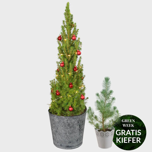 Rot geschmückter Weihnachtsbaum