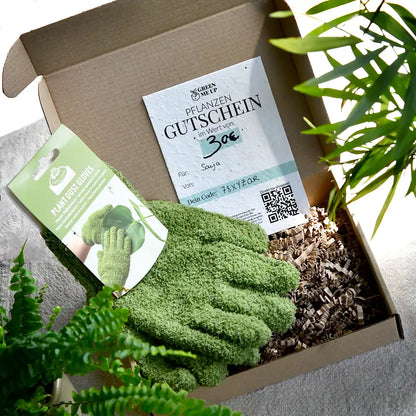 Geschenk Gutschein aus Samenpapier