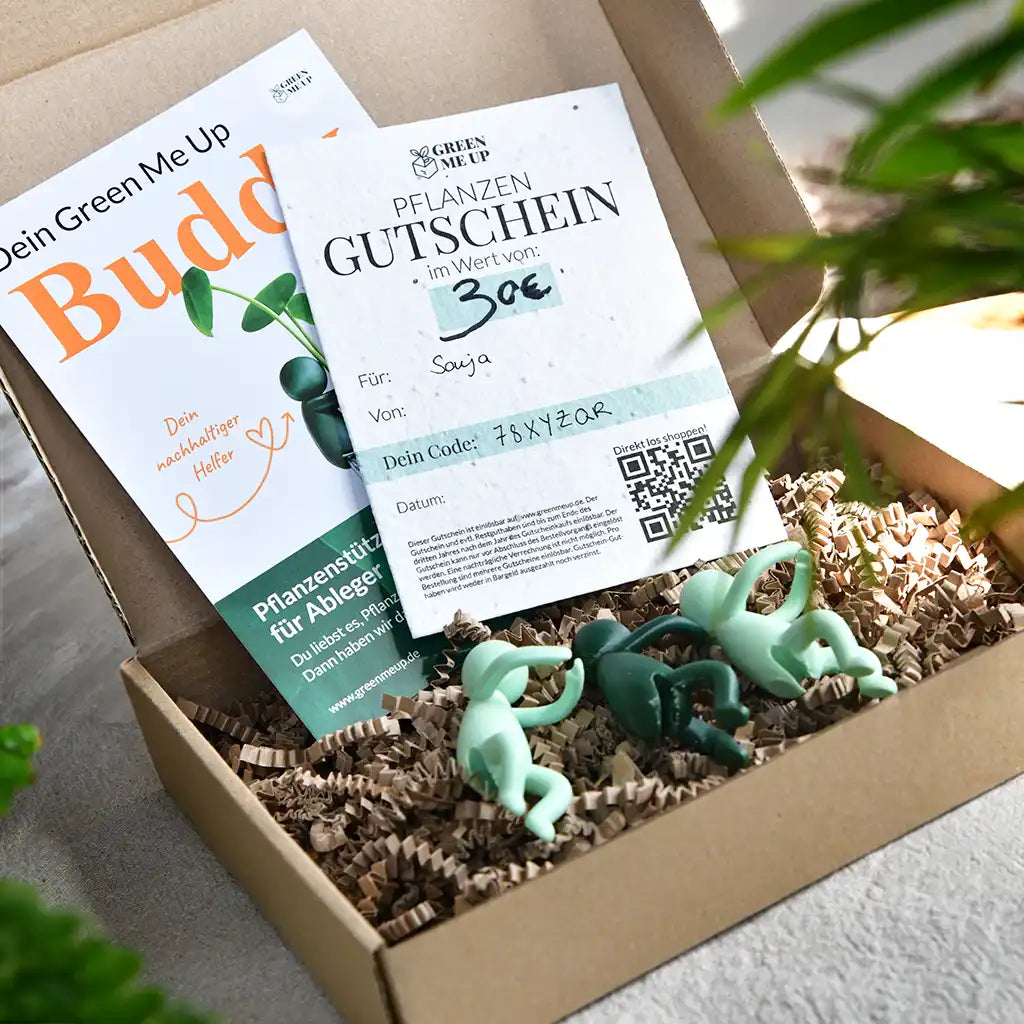 Geschenk Gutschein aus Samenpapier