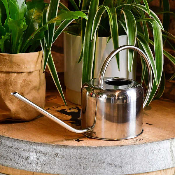 Gießkanne Silber 1L