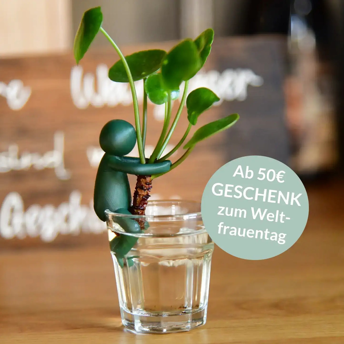 GESCHENK Green Me Up Buddy