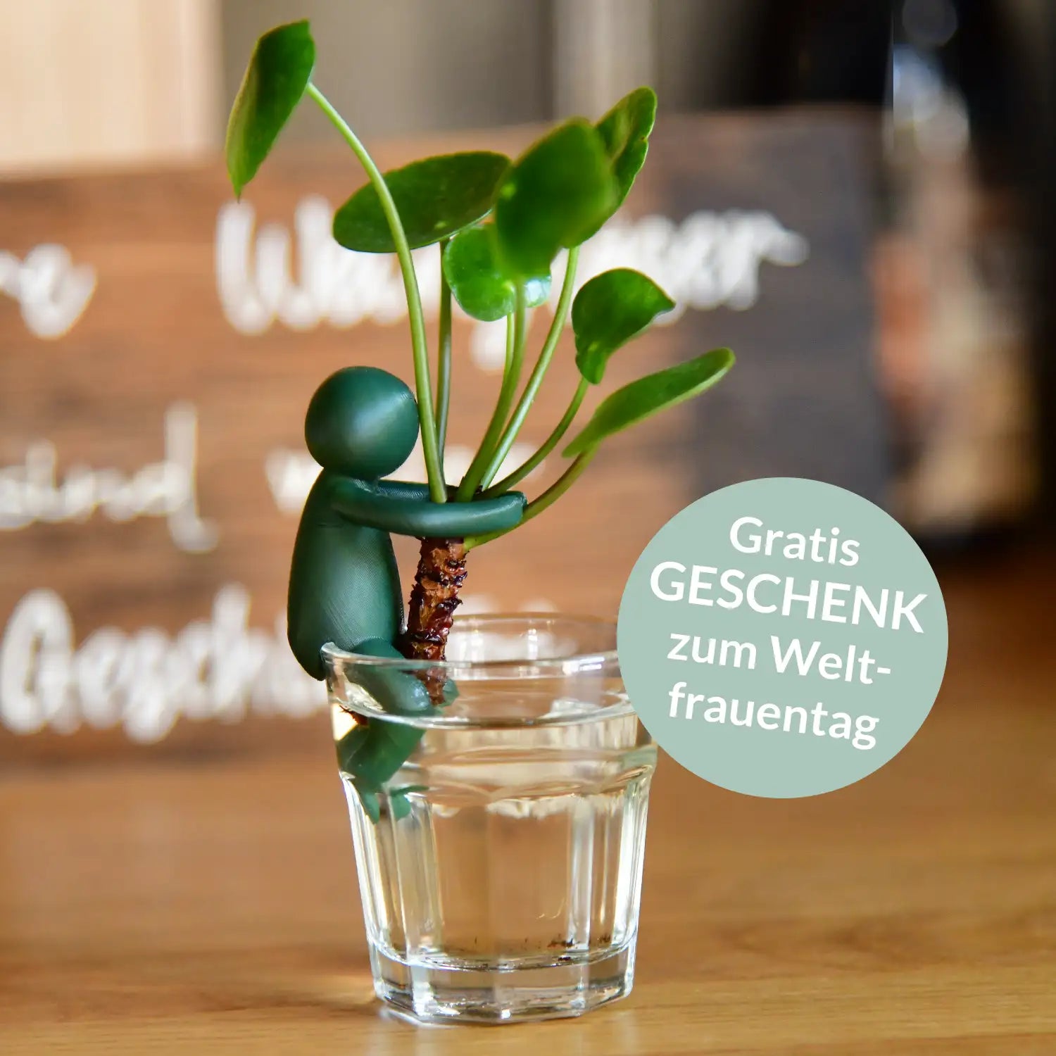Green Me Up Buddy, eine Pflanzenstütze gratis zum Weltfrauentag