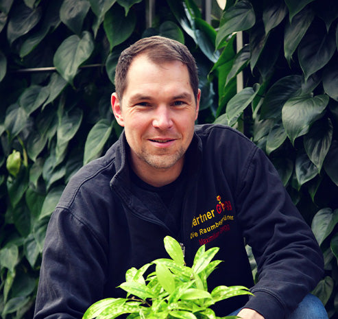 Portrait Gärtner Gregg vor grüner Pflanzenwand
