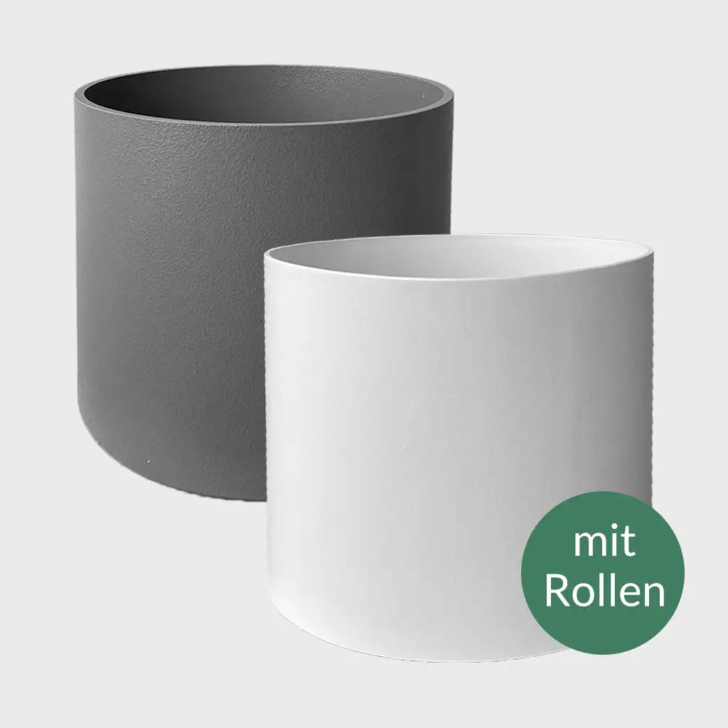 Pflanztopf Klassik Business mit Rollen