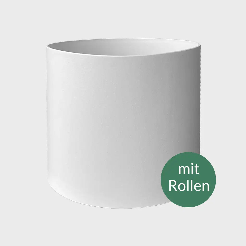 Pflanztopf Klassik Business mit Rollen