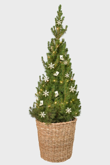 Großer geschmückter Weihnachtsbaum in Natur