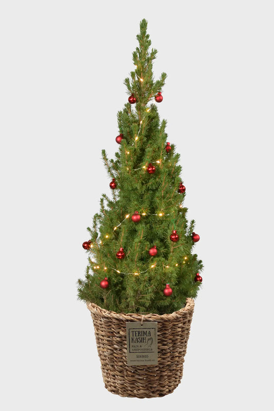 Großer Rot geschmückter Weihnachtsbaum
