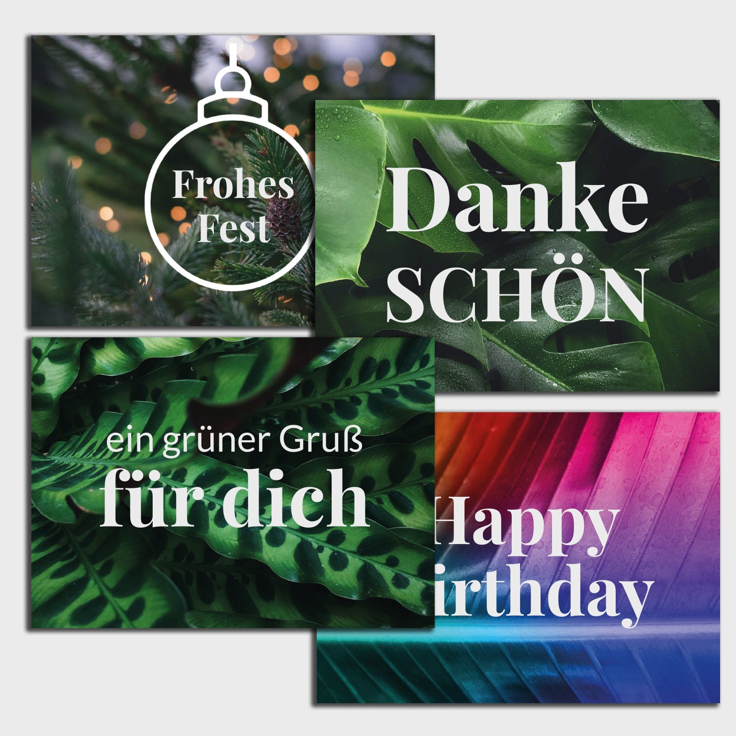 Übersicht über alle 4 Grußkarten - Dankeschön, Geburtstag, Grüner Gruß und Frohes Fest