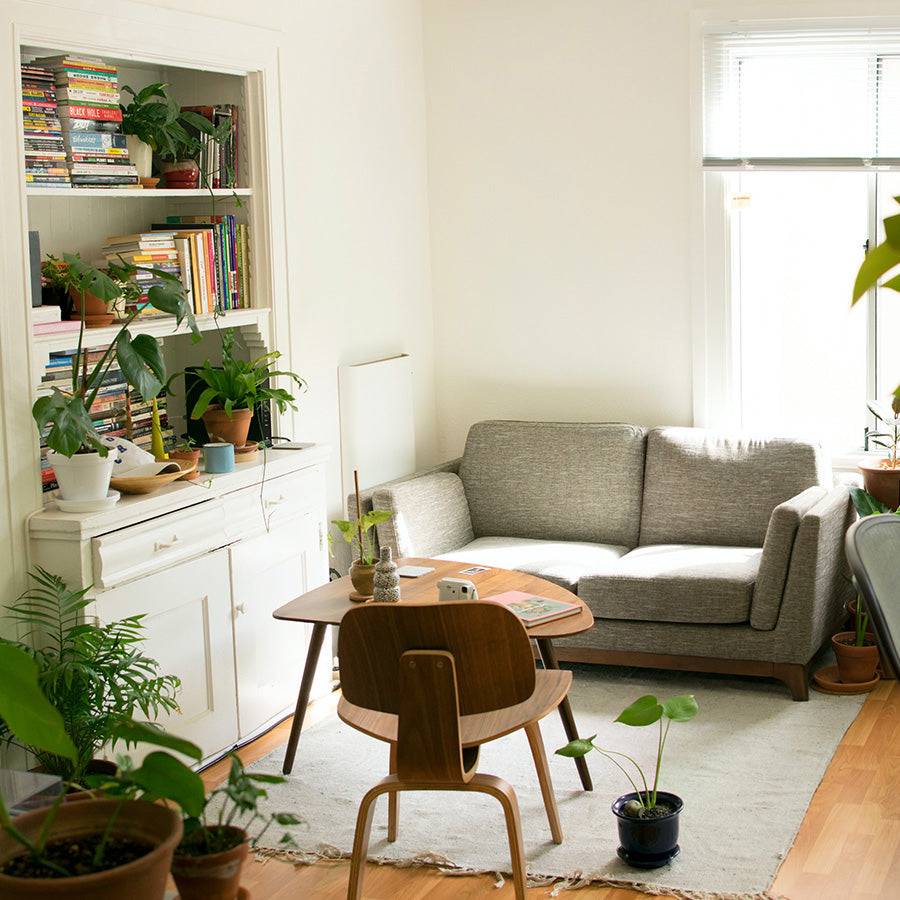 Stuhl-Tisch-Sofa-Teppich-Pflanzen-Sideboard