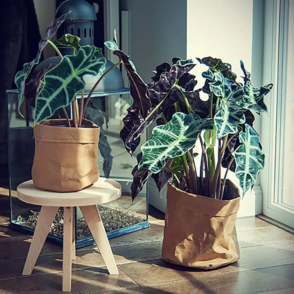 Blumenhocker Natur 25cm