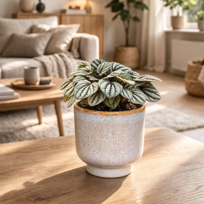 Keramiktopf Tupelo 14cm