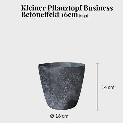 Basic Büropflanzen - 3er Set  Classico