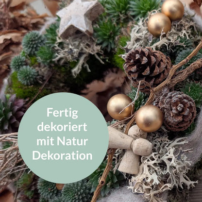 Lebender Dekokranz Weihnachten Natur Ø 35cm
