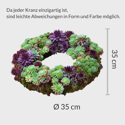 Lebender Dekokranz Weihnachten Natur Ø 35cm