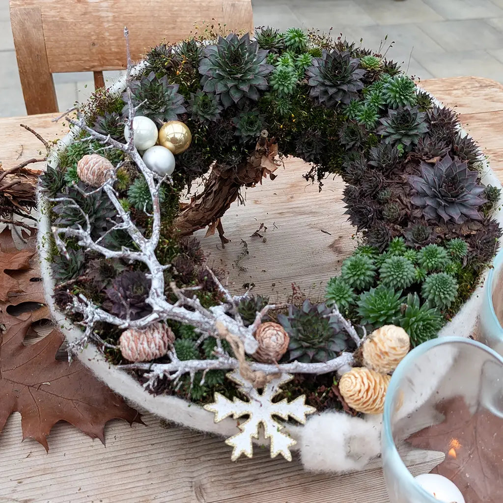 Lebender Adventskranz aus Moos und Sukkulenten mit Deko
