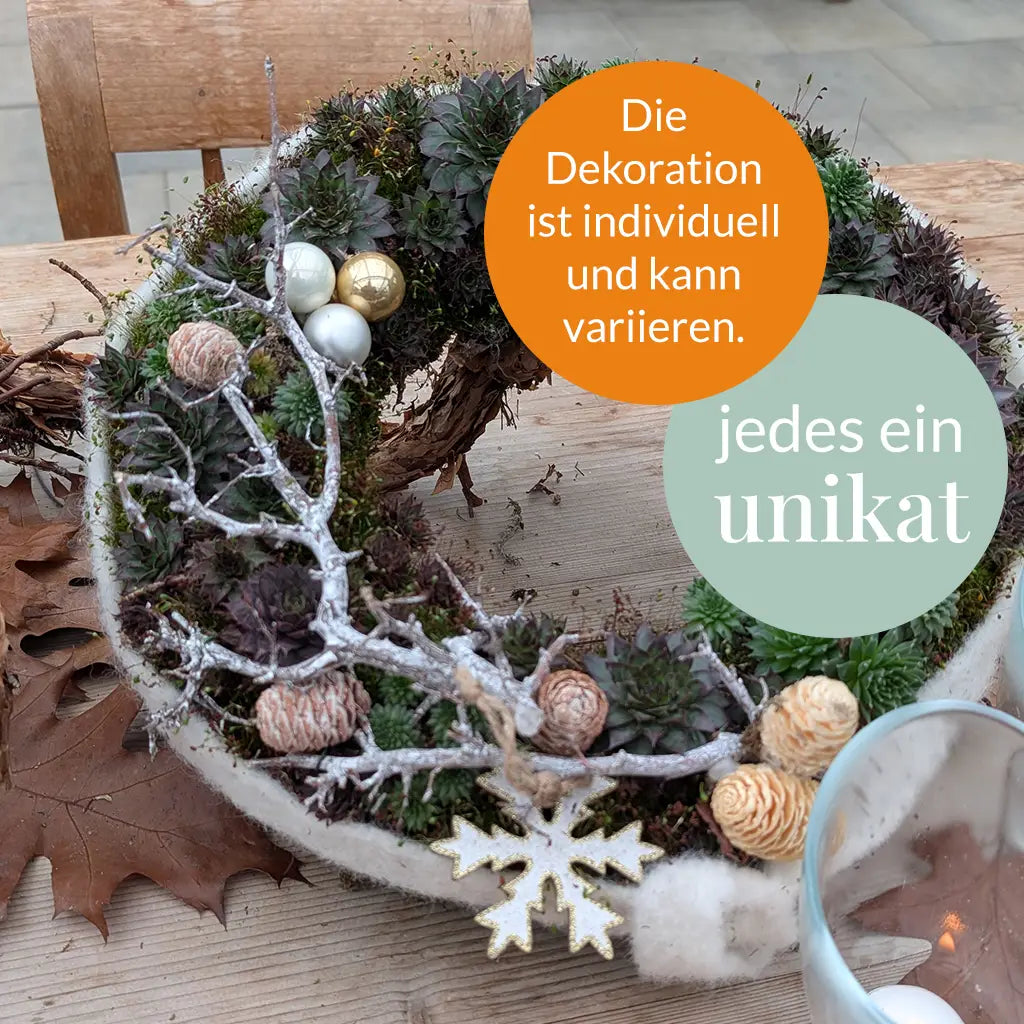 Lebender Dekokranz Weihnachten Natur Ø 35cm