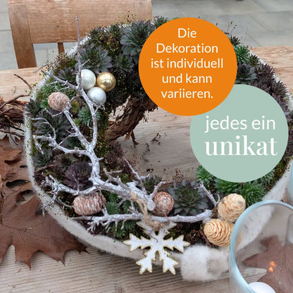 Lebender Dekokranz Weihnachten Natur Ø 35cm