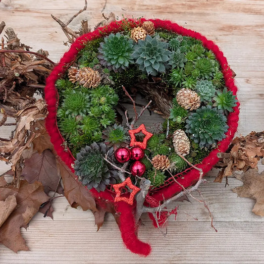 Lebender Dekokranz Weihnachten Rot Ø 25cm