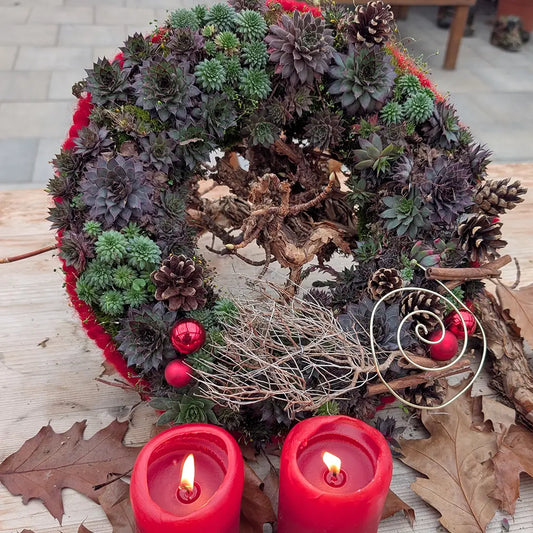 Lebender Dekokranz Weihnachten Rot Ø 35cm