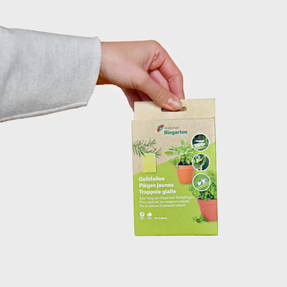 gelbe Leimfallen gegen fliegende Schädlinge wie Trauermücken