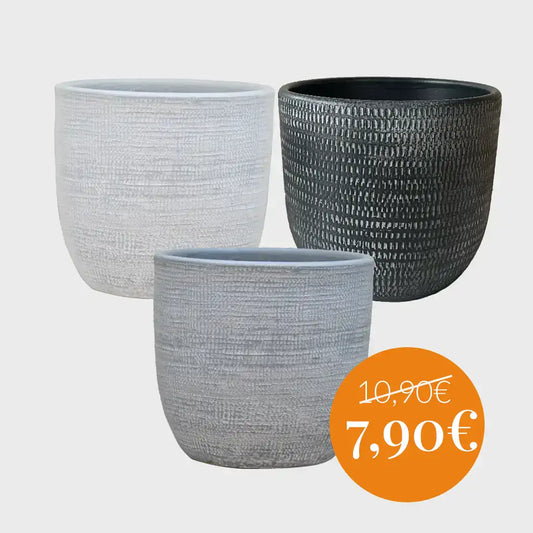 SPECIAL OFFER Magna 14cm