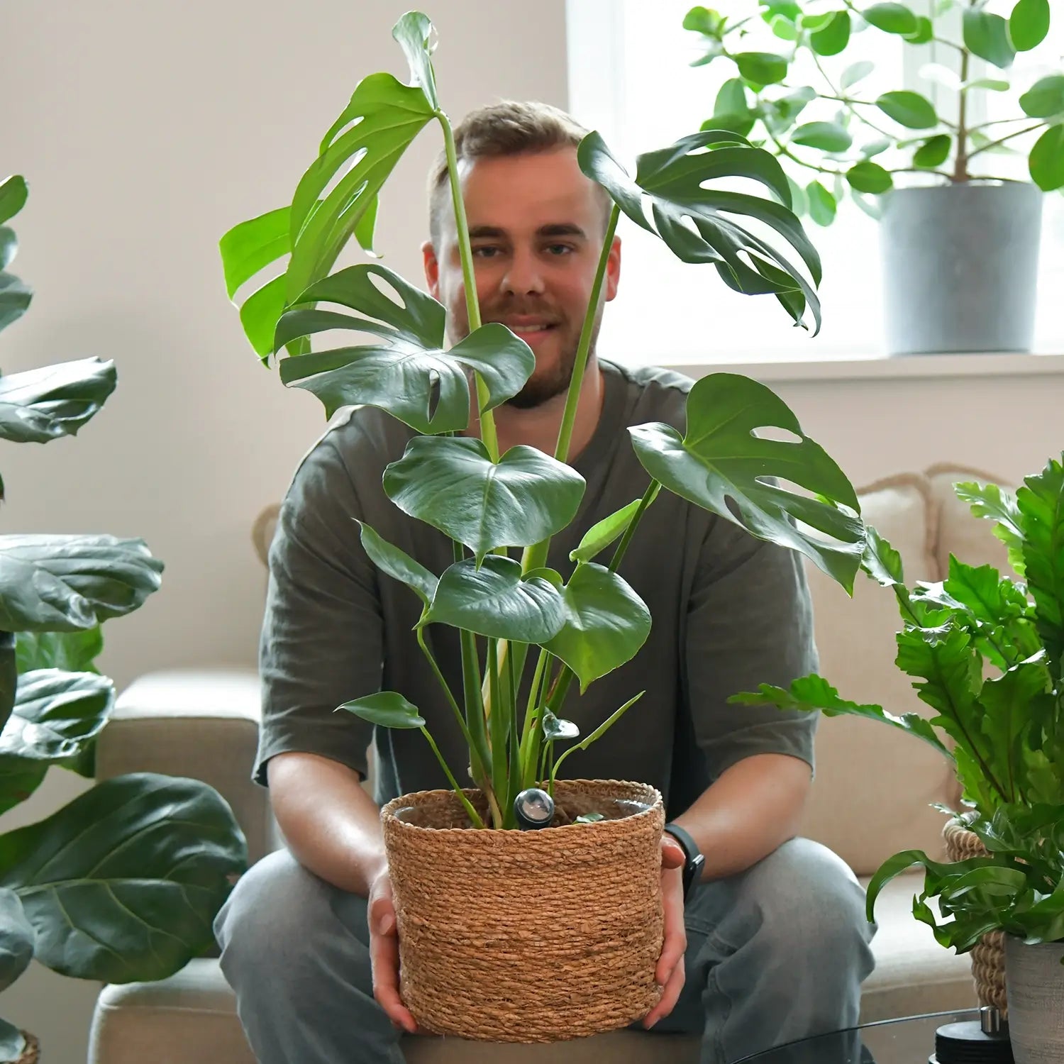 Junger Mann sitzt auf Couch mit seiner Monstera in der hand