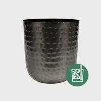 Metalltopf Mayren mit Hydroeinsatz 25cm