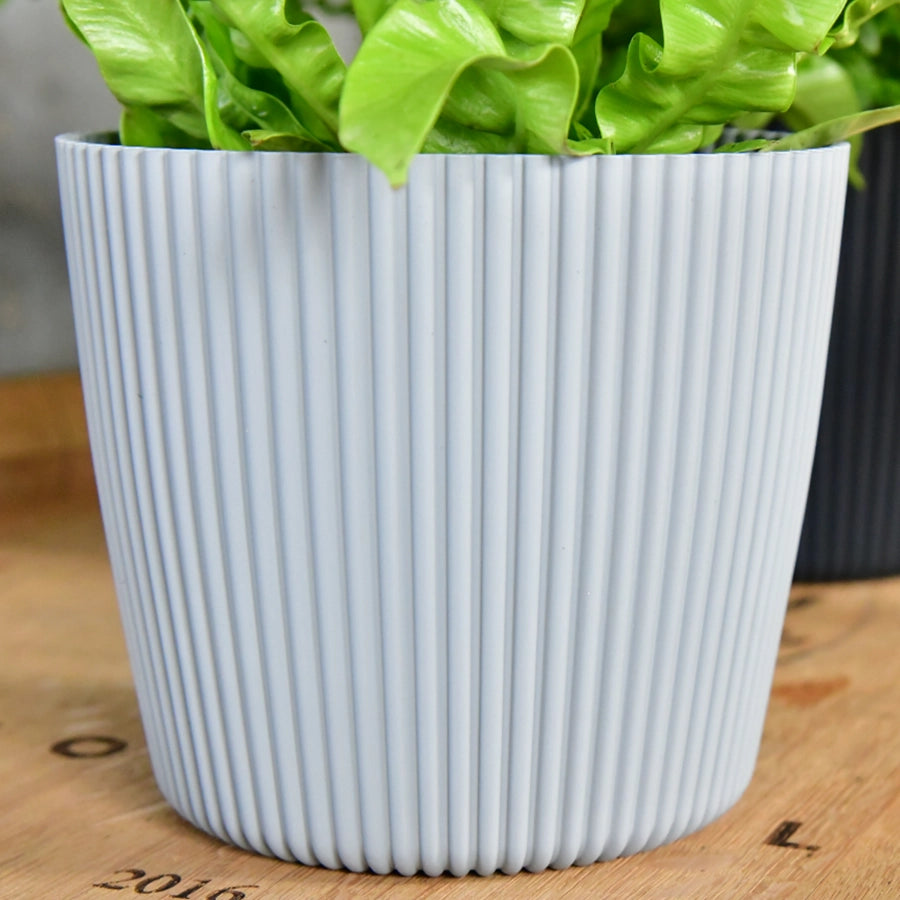Milly 15cm