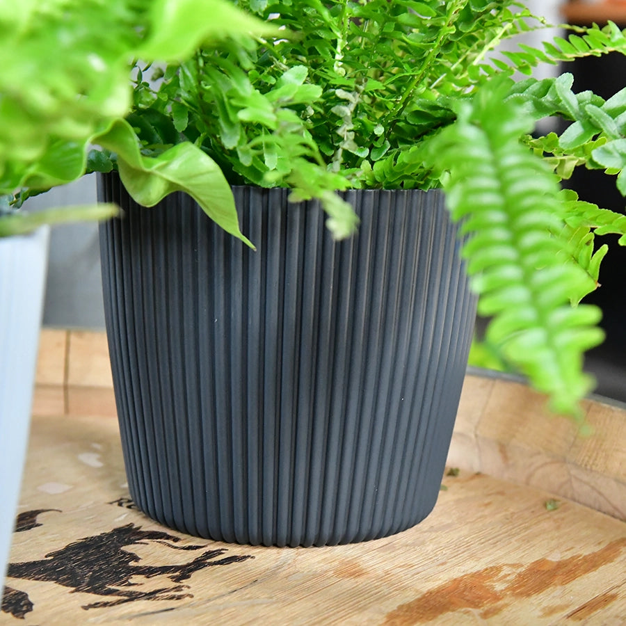Milly 15cm Übertopf online kaufen – Green Me Up