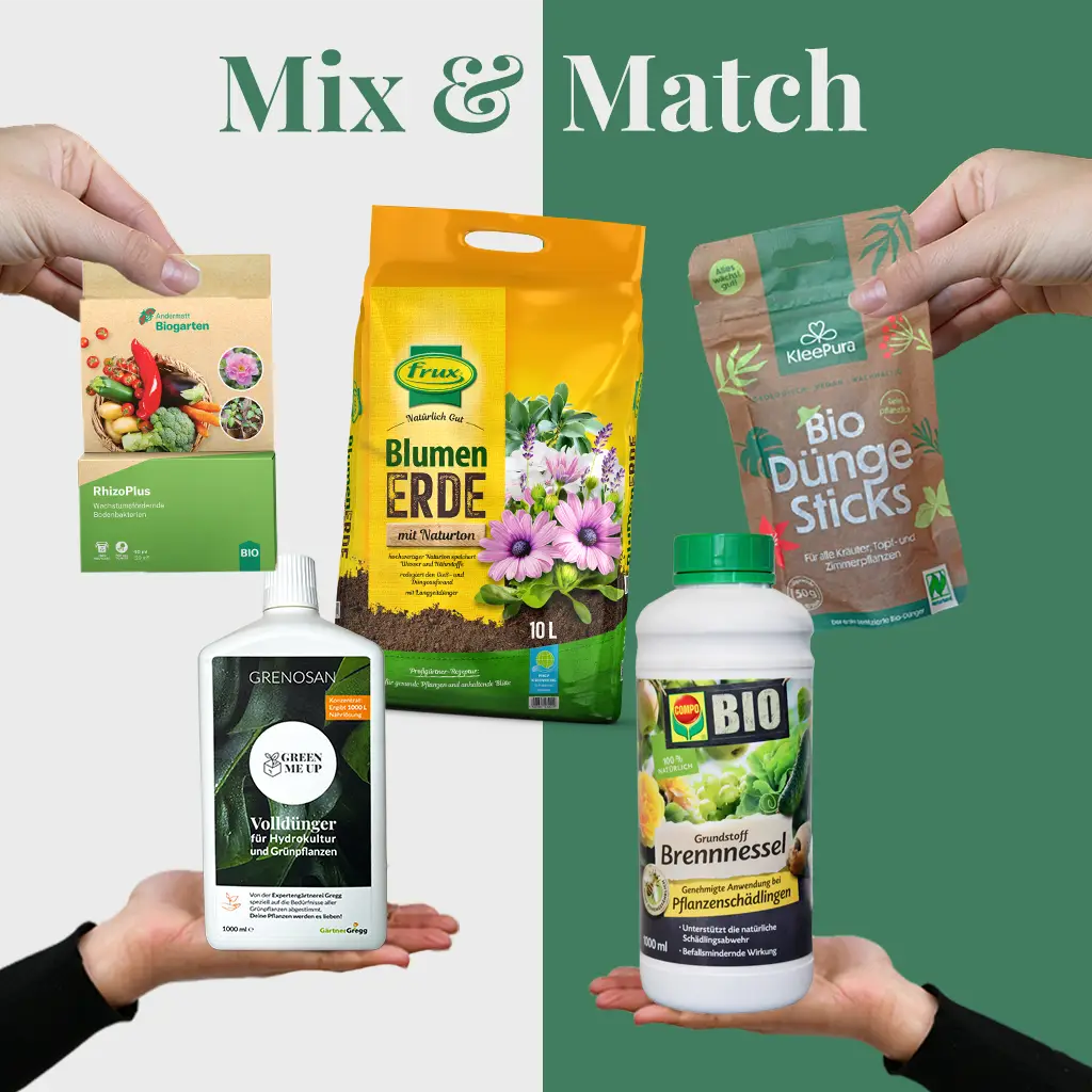 Mix & Match Pflanzen-Pflegeset Frühling