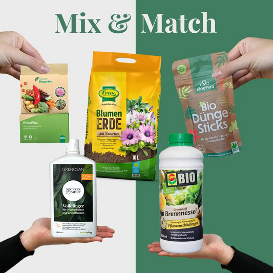 Mix & Match Pflanzen-Pflegeset Frühling