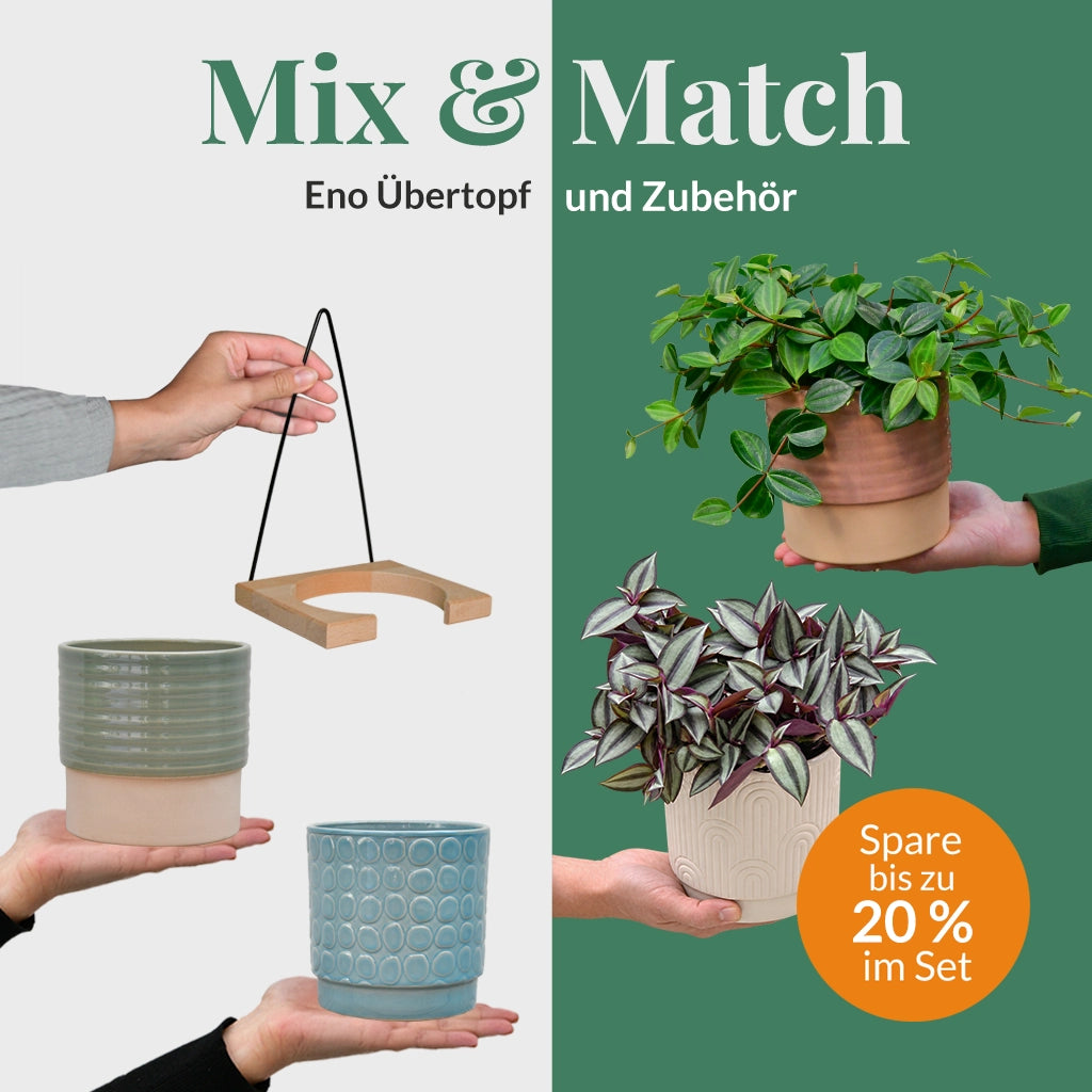Mix & Match Fenix Wandhänger-Set