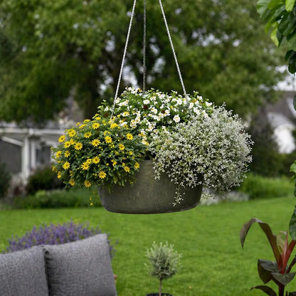 Mix & Match Nordbalkon Pflanzen
