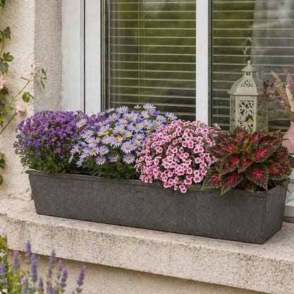 Mix & Match Südbalkon Pflanzen